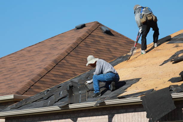 Best Solar Panel Roofing Installation  in New Waverly, TX